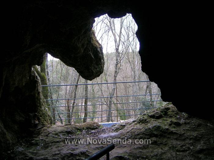 Parc de les Coves Prehistòriques de Serinyà (Parque de las Cuevas Prehistóricas de Serinyà) - Pla de l'Estany - Girona